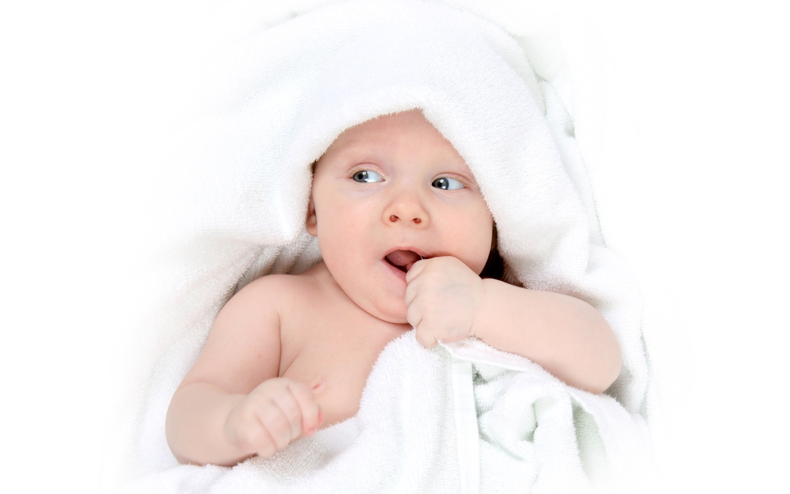 嘉兴供卵代怀试管婴儿的成功率是多少